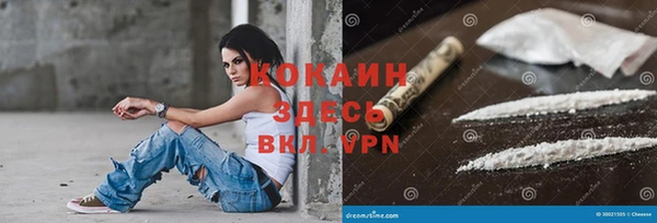 сатива Зерноград