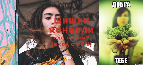 сатива Зерноград