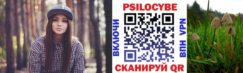 нарко площадка клад  Сасово  Псилоцибиновые грибы GOLDEN TEACHER 